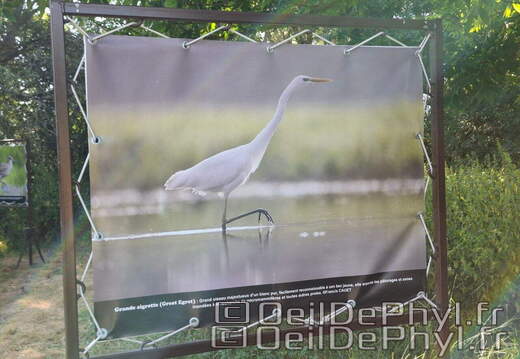 Novart2025-Francis-Cauet-22