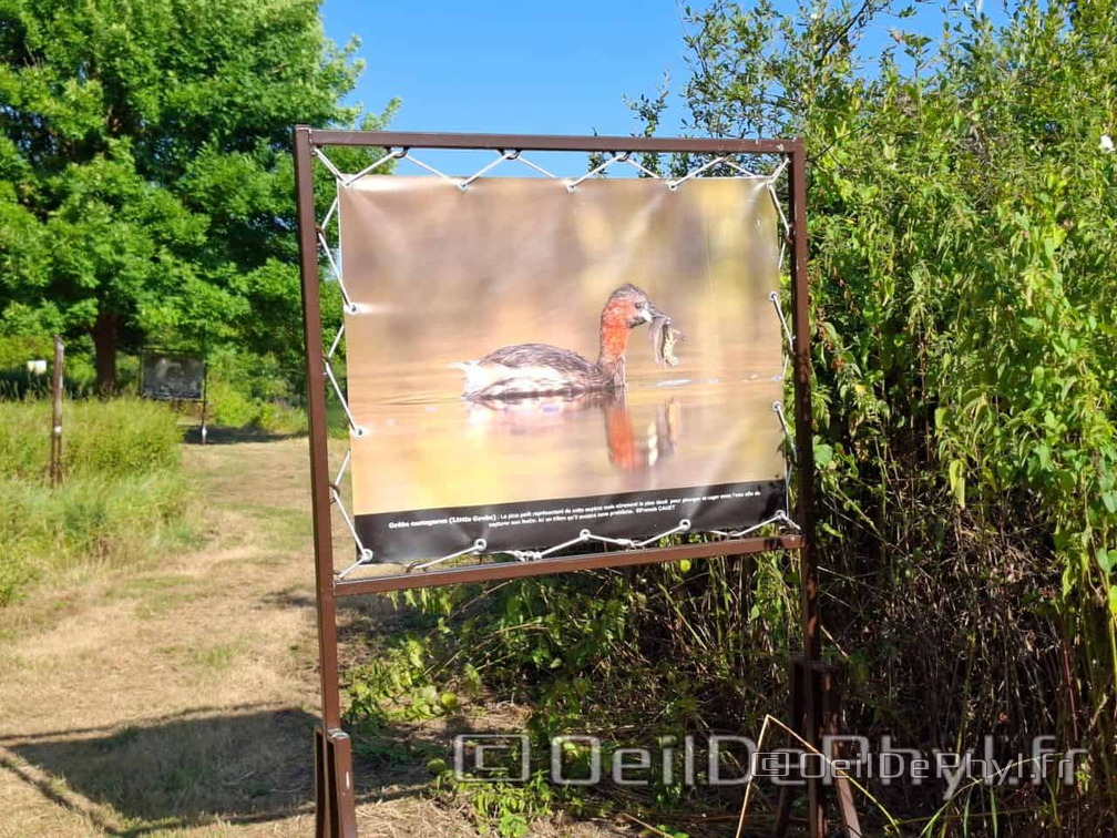 Novart2025-Francis-Cauet-23