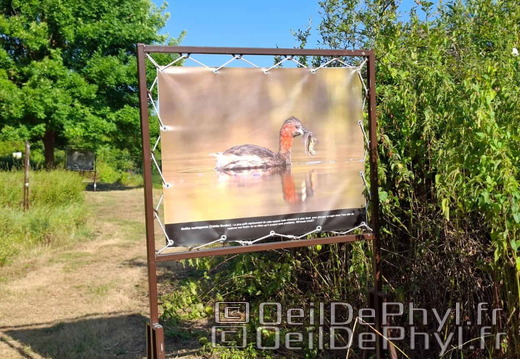 Novart2025-Francis-Cauet-23