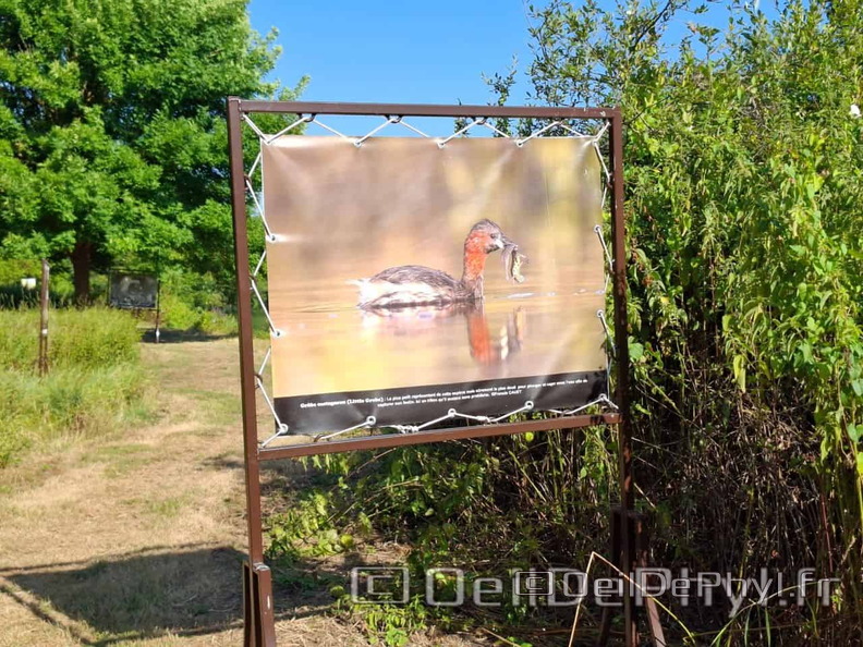 Novart2025-Francis-Cauet-23