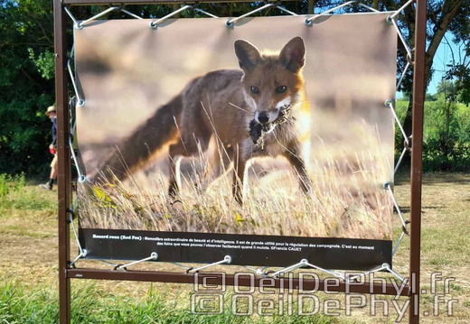 Novart2025-Francis-Cauet-25