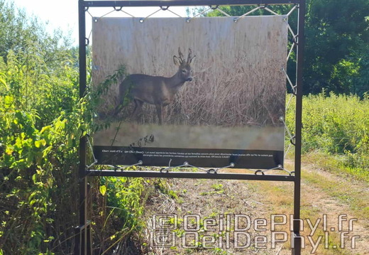 Novart2025-Francis-Cauet-24