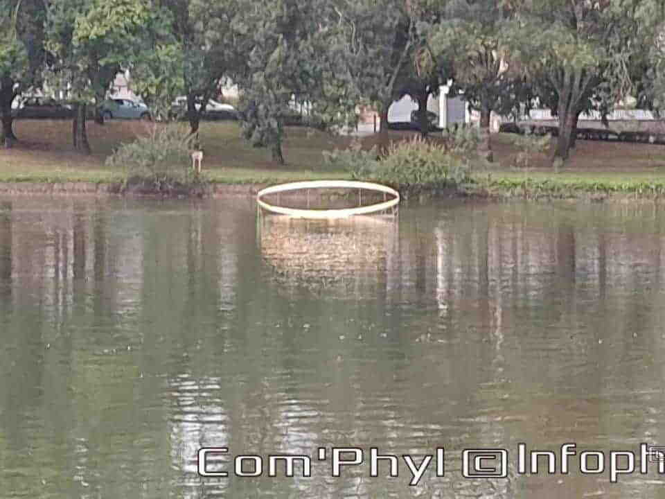 Novart#2024 - Antoine Birot