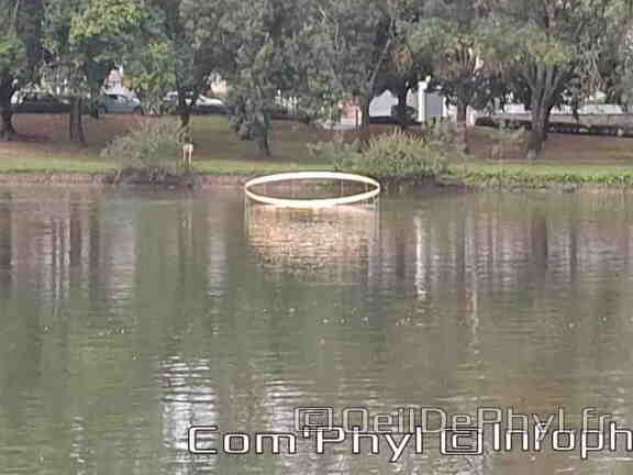 Novart#2024 - Antoine Birot