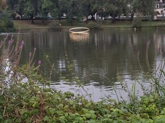 Novart#2024 - Antoine Birot