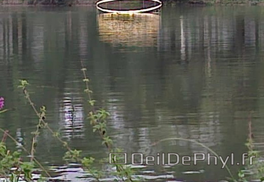 Novart#2024 - Antoine Birot