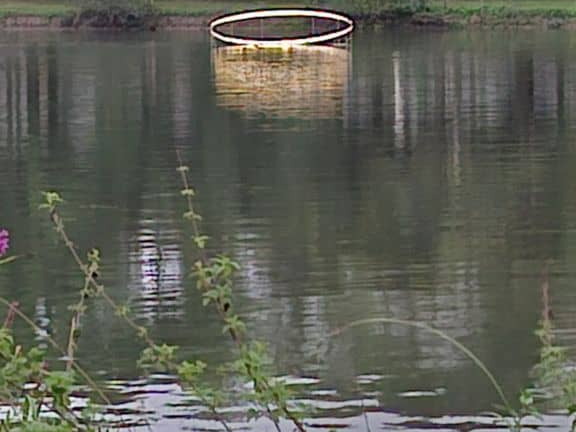 Novart#2024 - Antoine Birot