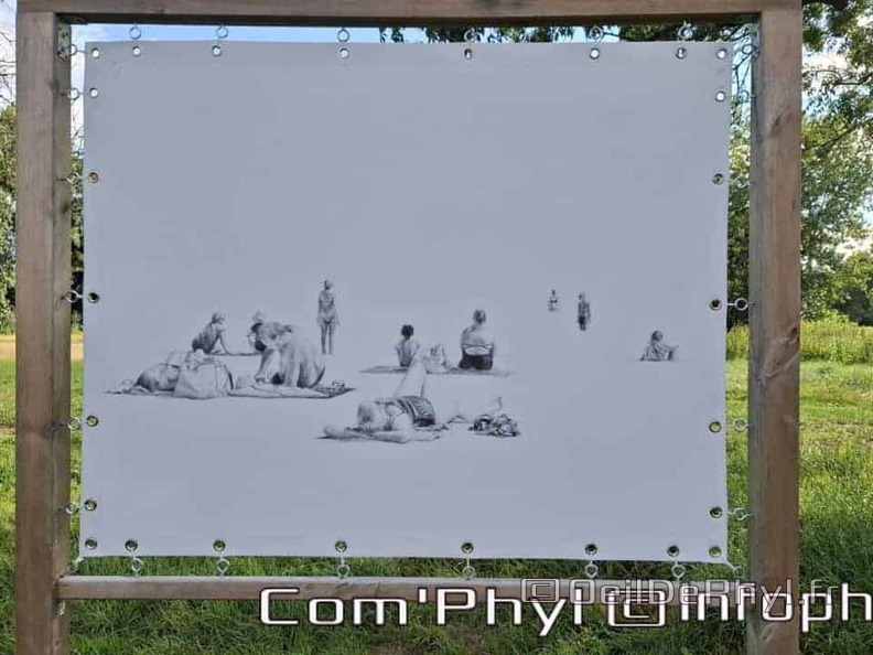 Novart#2024 - Emilie Thibaudeau