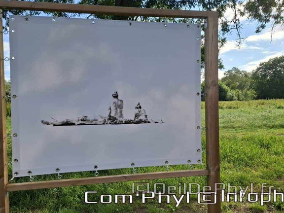 Novart#2024 - Emilie Thibaudeau