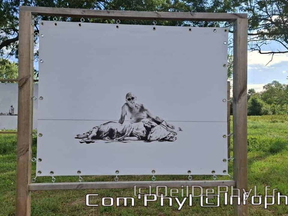 Novart#2024 - Emilie Thibaudeau