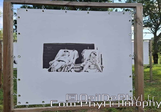 Novart#2024 - Emilie Thibaudeau