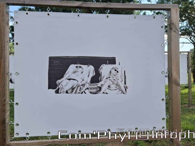 Novart#2024 - Emilie Thibaudeau