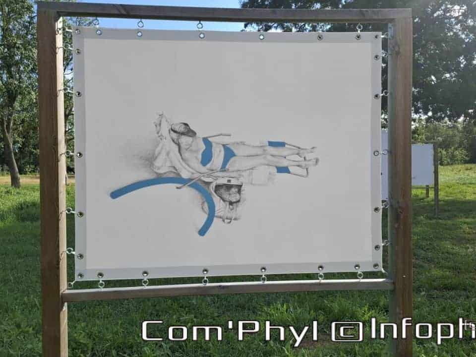 Novart#2024 - Emilie Thibaudeau