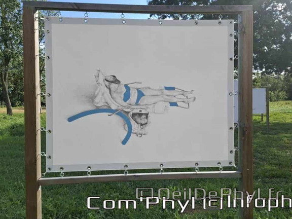 Novart#2024 - Emilie Thibaudeau