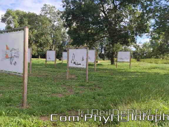 Novart#2024 - Emilie Thibaudeau