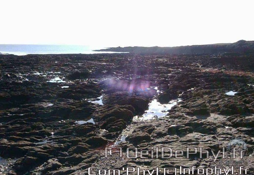 558 photo0322 1000x750