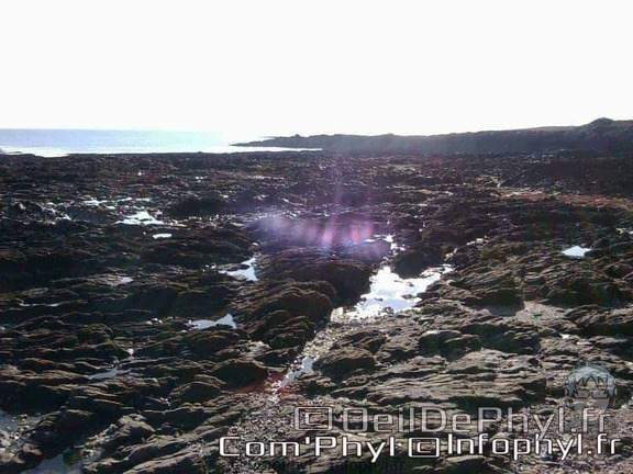 558 photo0322 1000x750