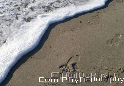 banastere-sarzeau-04