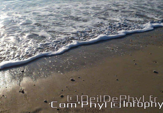 banastere-sarzeau-05