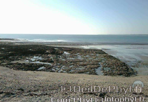 banastere-sarzeau-16