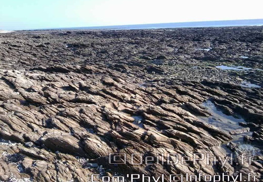 banastere-sarzeau-20