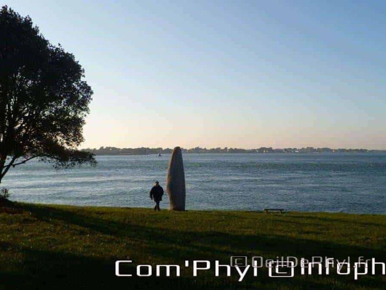 banastere-sarzeau-22