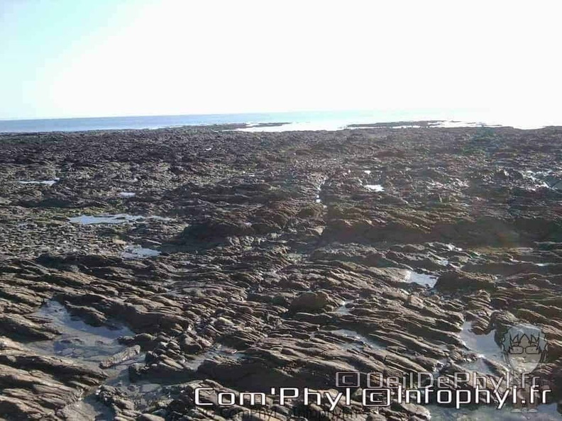 banastere-sarzeau-24