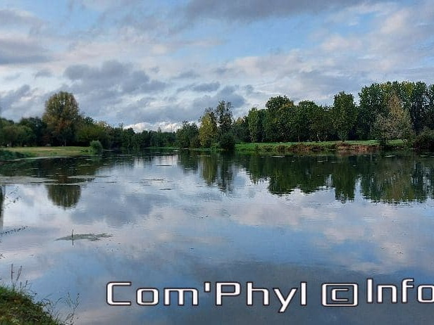 Pdj : 23 septembre 2020 - Le Loir