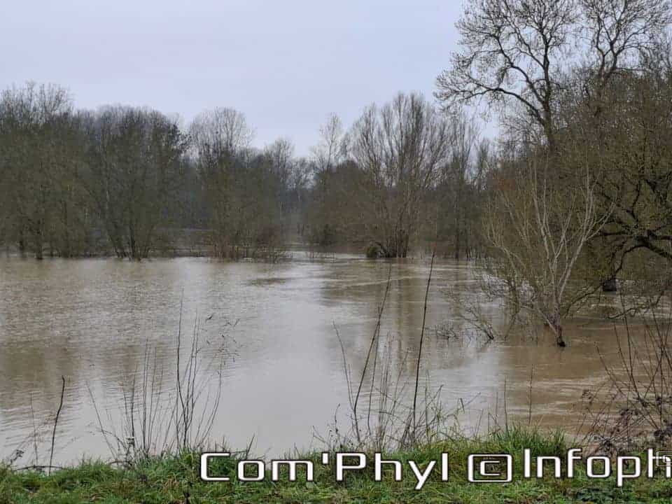 inondation-2025-rivesduloiranjou-comphyl49-08