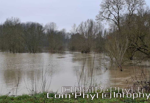 inondation-2025-rivesduloiranjou-comphyl49-08