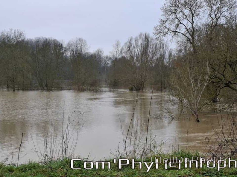 inondation-2025-rivesduloiranjou-comphyl49-08