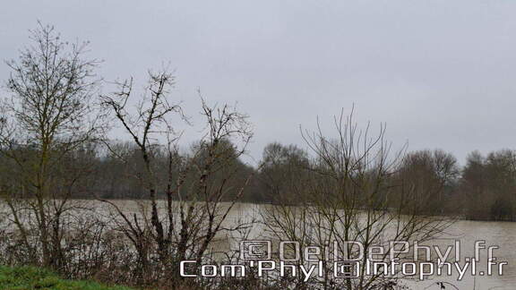 inondation-2025-rivesduloiranjou-comphyl49-09