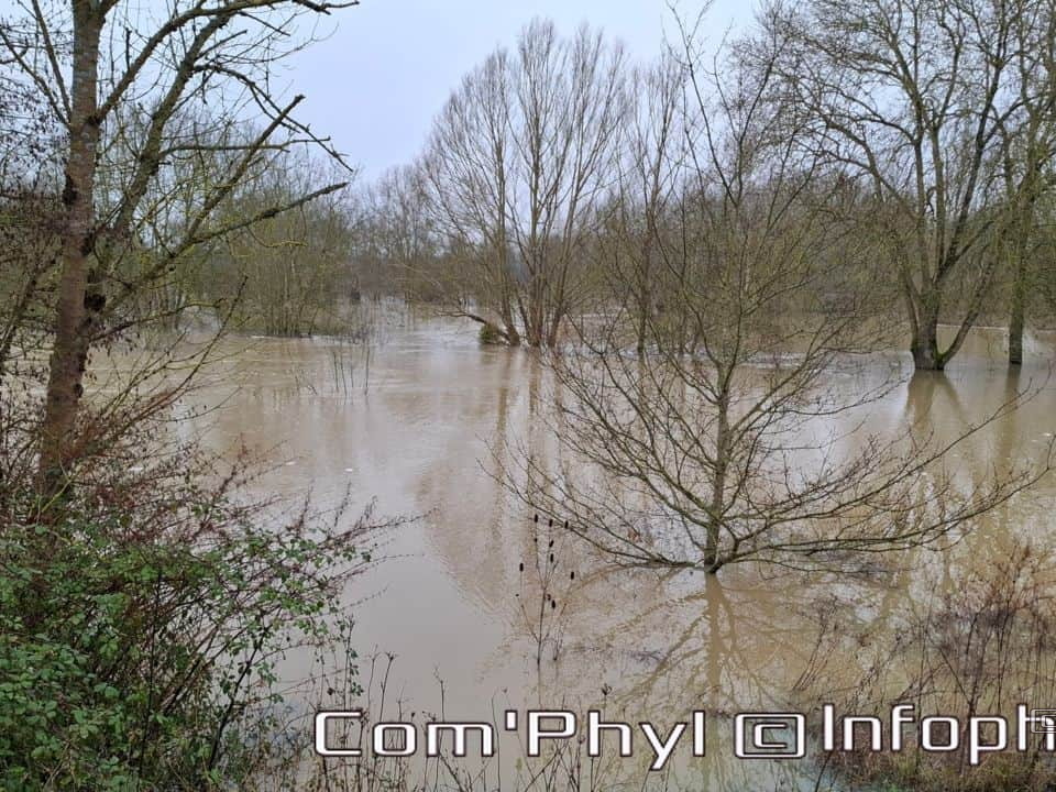 inondation-2025-rivesduloiranjou-comphyl49-02