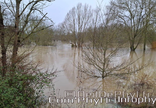 inondation-2025-rivesduloiranjou-comphyl49-02