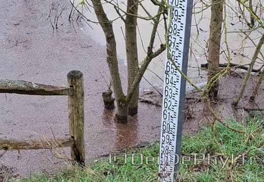 inondation-2025-rivesduloiranjou-comphyl49-03