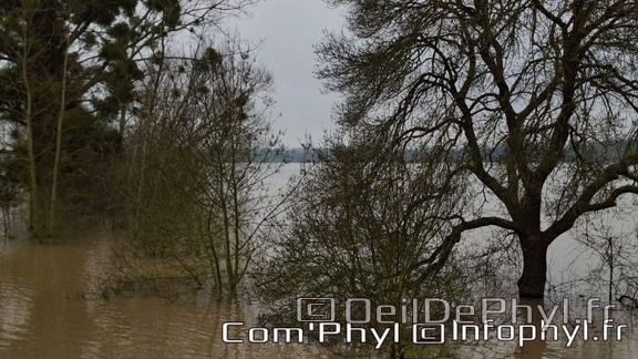 inondation-2025-rivesduloiranjou-comphyl49-04