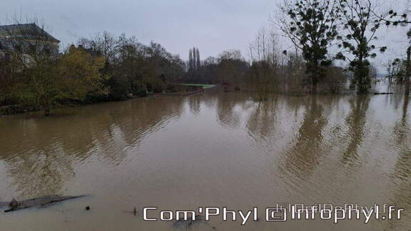 inondation-2025-rivesduloiranjou-comphyl49-05
