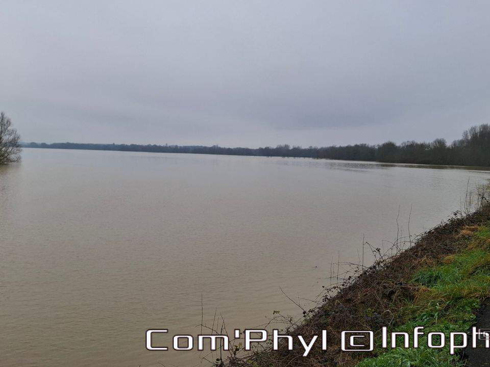 inondation-2025-rivesduloiranjou-comphyl49-06