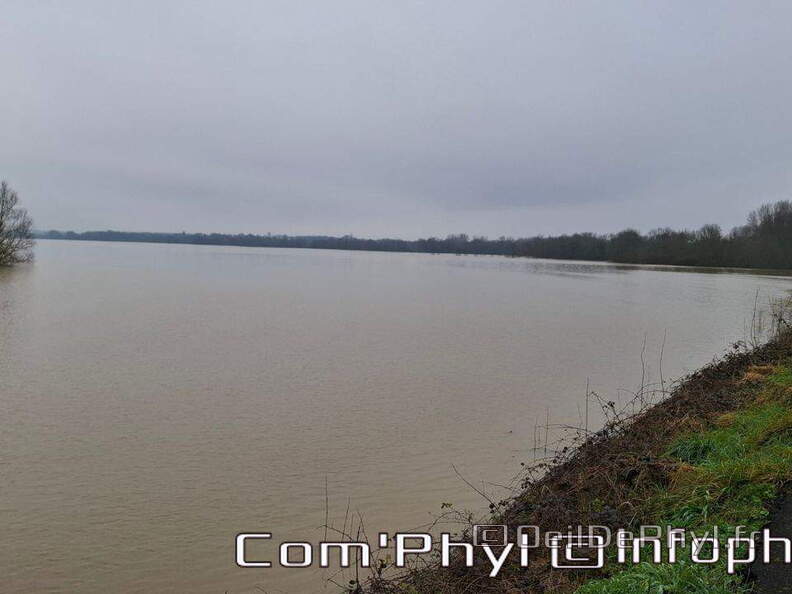 inondation-2025-rivesduloiranjou-comphyl49-06