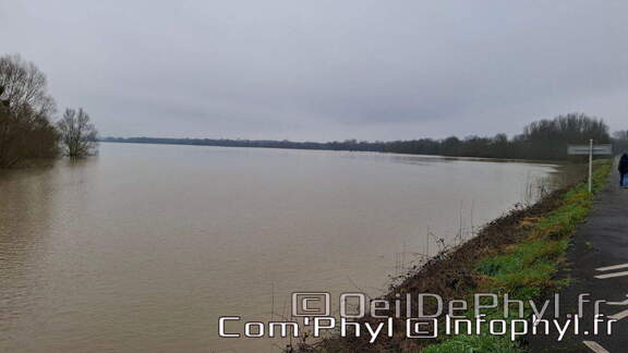 inondation-2025-rivesduloiranjou-comphyl49-06