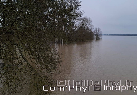 inondation-2025-rivesduloiranjou-comphyl49-07