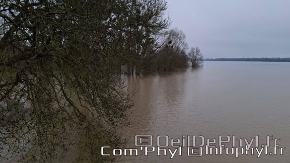 inondation-2025-rivesduloiranjou-comphyl49-07