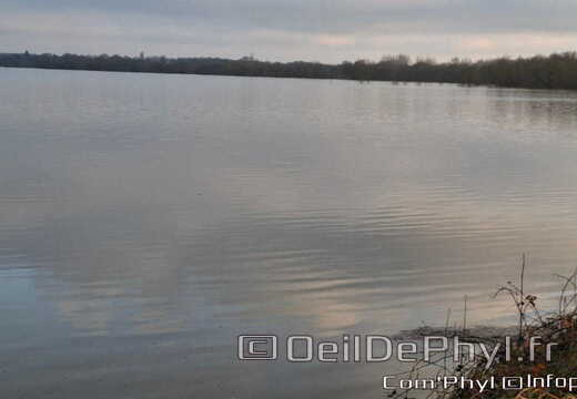 rives-du-loir-anjou-inondation-2025-11-19