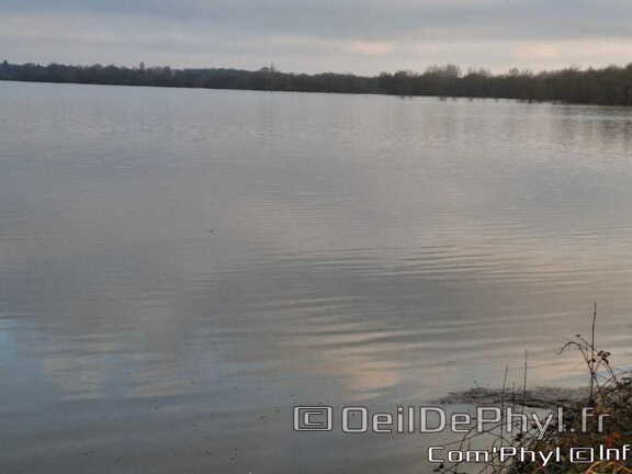 rives-du-loir-anjou-inondation-2025-11-19