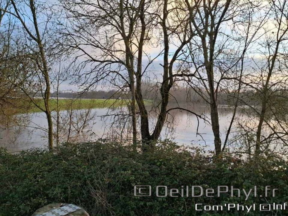 rives-du-loir-anjou-inondation-2025-11-15
