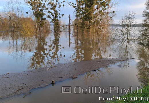 rives-du-loir-anjou-inondation-2025-11-16