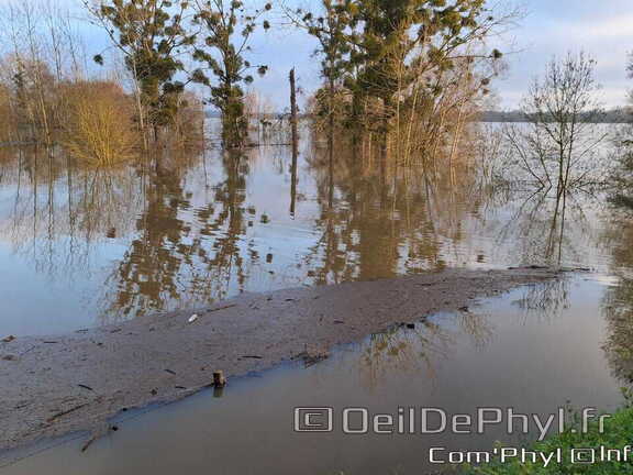 rives-du-loir-anjou-inondation-2025-11-16
