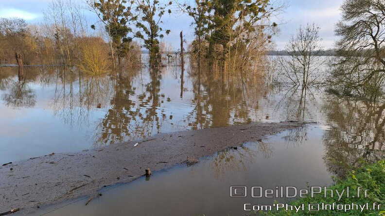rives-du-loir-anjou-inondation-2025-11-16.jpg