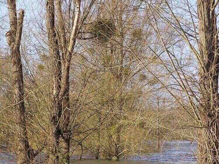 Inondation Soucelles Villevêque - 2007