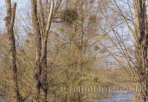 Inondation Soucelles Villevêque - 2007